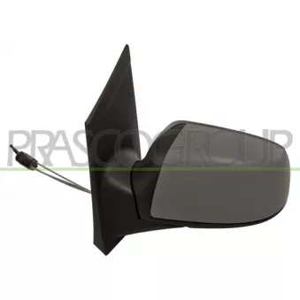 Rétroviseur extérieur PRASCO OEM 1376304