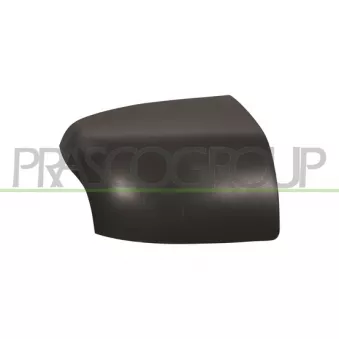 Revêtement, rétroviseur extérieur PRASCO OEM 1404897