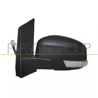 Rétroviseur extérieur PRASCO OEM 1610119