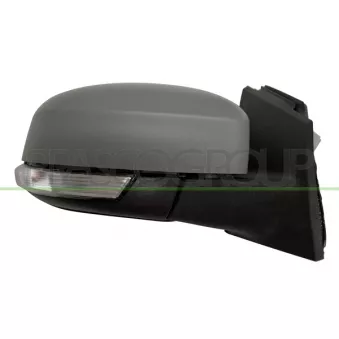 Rétroviseur extérieur PRASCO FD4287323P