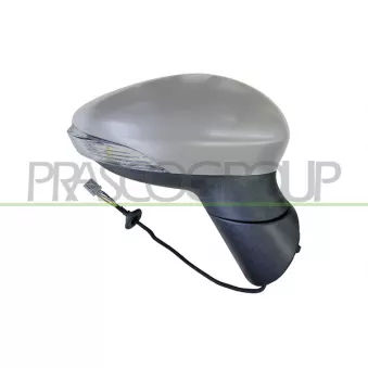 Rétroviseur extérieur PRASCO OEM 1903151