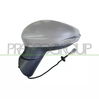 Rétroviseur extérieur PRASCO OEM 2104837