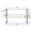 PRASCO FD802R002 - Radiateur, refroidissement du moteur