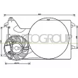 PRASCO FD912F002 - Ventilateur, refroidissement du moteur