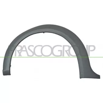 Baguette et bande protectrice, aile avant droit PRASCO FD9341581