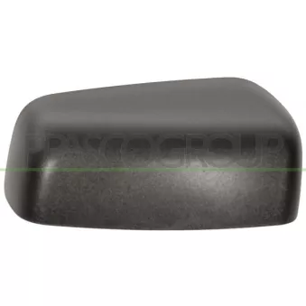 Revêtement, rétroviseur extérieur PRASCO OEM 5016550