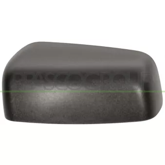Revêtement, rétroviseur extérieur PRASCO FD9347414
