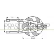 PRASCO FT019F002 - Ventilateur, refroidissement du moteur