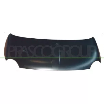 PRASCO FT0303100 - Capot-moteur