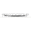 Baguette et bande protectrice, pare-chocs PRASCO [FT0321257]