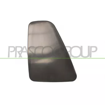 Enjoliveur, Feu arrière PRASCO FT0322164 pour FIAT 500 1.3 D Multijet - 78cv