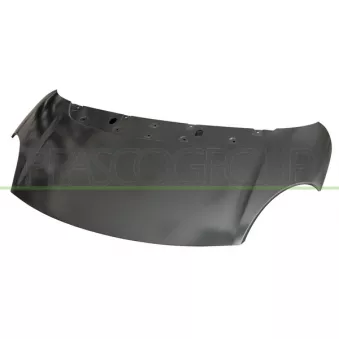 PRASCO FT0403100 - Capot-moteur