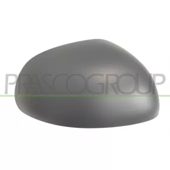 Revêtement, rétroviseur extérieur PRASCO OEM 735564662