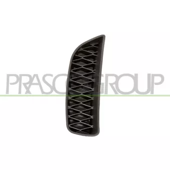 PRASCO FT0422123 - Grille de ventilation, pare-chocs
