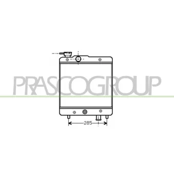 PRASCO FT119R001 - Radiateur, refroidissement du moteur