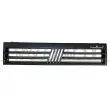 PRASCO FT1212011 - Grille de radiateur