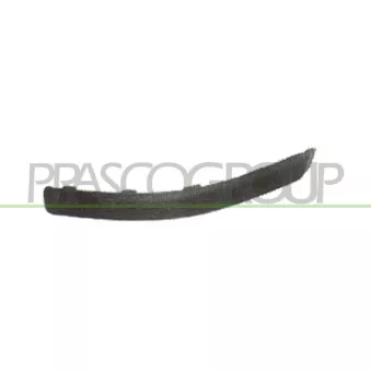PRASCO FT1221244 - Baguette et bande protectrice, pare-chocs avant gauche