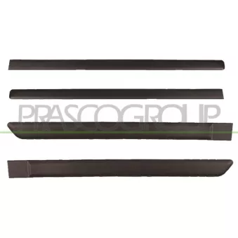 Baguette et bande protectrice, porte PRASCO FT1221400 pour FIAT PANDA 1.4 Bi-Power / Natural Power - 78cv