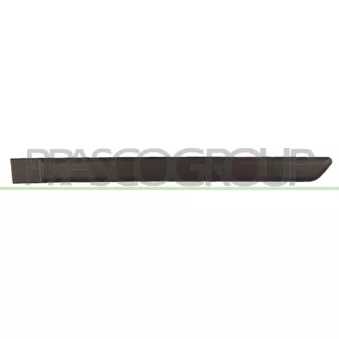 Baguette et bande protectrice, porte arrière gauche PRASCO FT1221454 pour FIAT PANDA 1.4 Bi-Power / Natural Power - 78cv