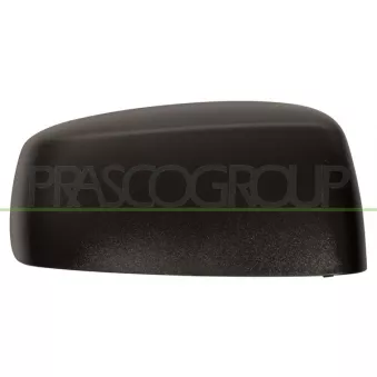 Revêtement, rétroviseur extérieur PRASCO OEM 71732869