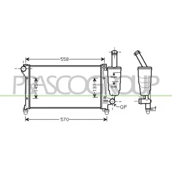 PRASCO FT122R009 - Radiateur, refroidissement du moteur