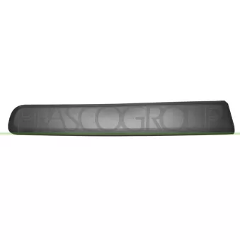 Baguette et bande protectrice, porte avant droit PRASCO FT1241403