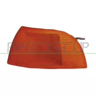 PRASCO FT1324104 - Disperseur, feu clignotant avant gauche