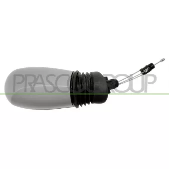 Rétroviseur extérieur PRASCO OEM 735310075