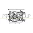 PRASCO FT137F001 - Ventilateur, refroidissement du moteur