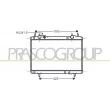 Radiateur, refroidissement du moteur PRASCO [FT137R009]