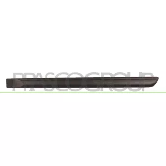 Baguette et bande protectrice, porte arrière gauche PRASCO FT3421454