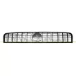 Grille de radiateur PRASCO [FT3422011]
