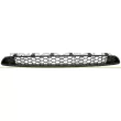 Grille de radiateur PRASCO [FT3462001]