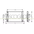 Radiateur, refroidissement du moteur PRASCO [FT420R002]
