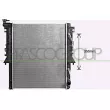 PRASCO FT824R002 - Radiateur, refroidissement du moteur