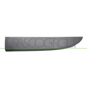 Baguette et bande protectrice, porte avant gauche PRASCO FT9001404