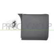 PRASCO FT9001405 - Baguette et bande protectrice, pare-chocs avant droit