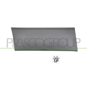 PRASCO FT9001455 - Baguette et bande protectrice, aile arrière droit
