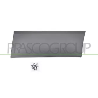 PRASCO FT9001456 - Baguette et bande protectrice, aile arrière gauche