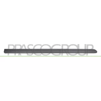 PRASCO FT9081403 - Baguette et bande protectrice, porte avant droit