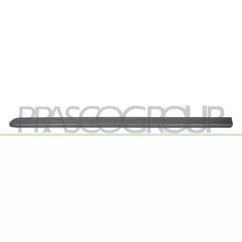 PRASCO FT9081404 - Baguette et bande protectrice, porte avant gauche