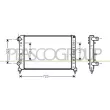 Radiateur, refroidissement du moteur PRASCO [FT908R002]