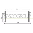 PRASCO FT910C001 - Condenseur, climatisation