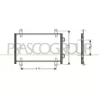 PRASCO FT920C002 - Condenseur, climatisation