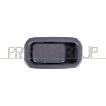 Poignée extérieure de porte PRASCO OEM 93926687