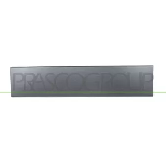 PRASCO FT9301458 - Baguette et bande protectrice, porte arrière gauche