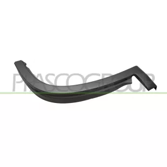 PRASCO FT9301581 - Baguette et bande protectrice, aile avant droit