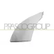 PRASCO FT9302105 - Enjoliveur, pare-chocs avant droit
