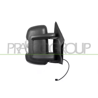 PRASCO FT9307006 - Rétroviseur extérieur
