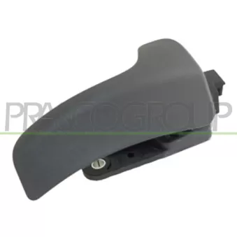 PRASCO FT9308408 - Poignet de porte, équipment intérieur avant gauche